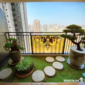 大樓露台(2-3坪)一式