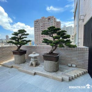 大樓露台(5-10坪)一式