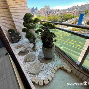 大樓露台(3-5坪)一式