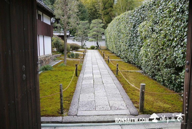 P1030835 [日本庭園]芬陀院（雪舟寺）