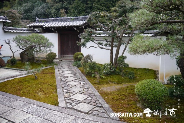 P1030837 [日本庭園]芬陀院（雪舟寺）