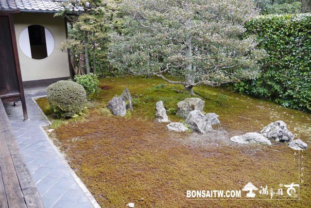 P1030854 [日本庭園]芬陀院（雪舟寺）