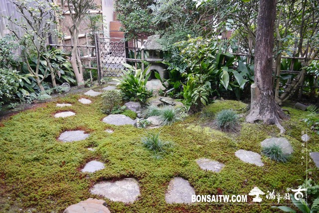 P1030862 [日本庭園]芬陀院（雪舟寺）