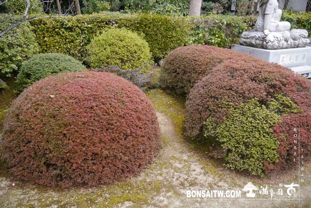 P1040004 [日本庭園]雲龍院(1)