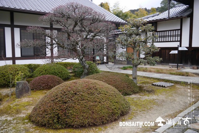 P1040007 [日本庭園]雲龍院(1)