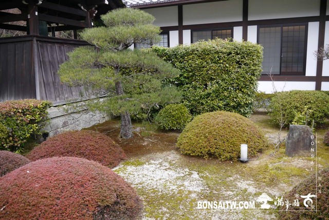 P1040009 [日本庭園]雲龍院(1)