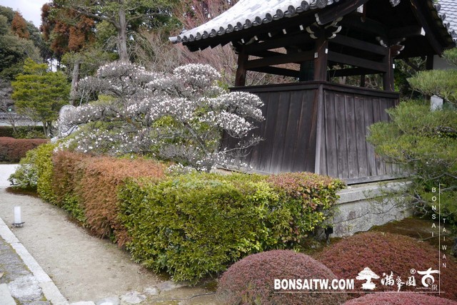 P1040010 [日本庭園]雲龍院(1)