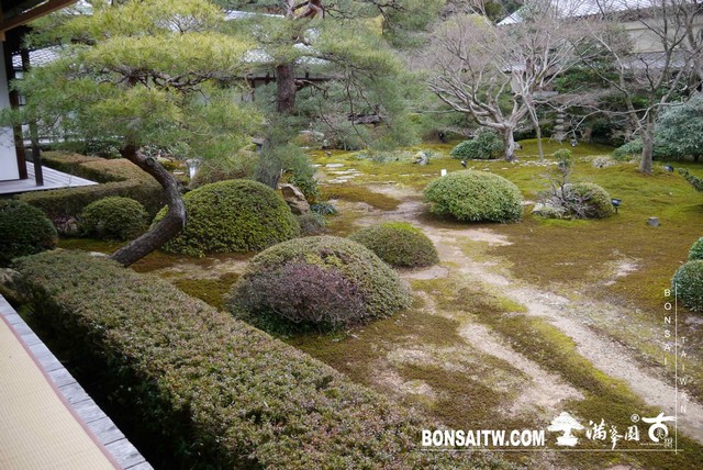 P1040020 [日本庭園]雲龍院(1)