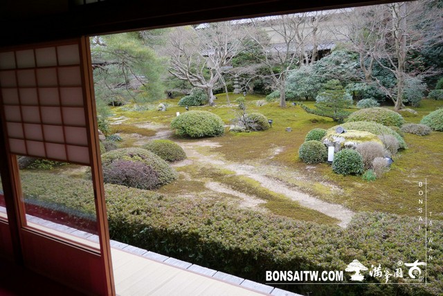 P1040023 [日本庭園]雲龍院(1)