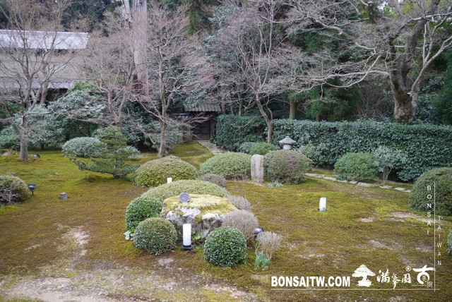 P1040028 [日本庭園]雲龍院(1)