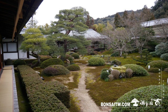 P1040031 [日本庭園]雲龍院(1)