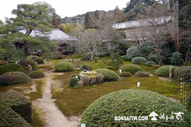 P1040034 [日本庭園]雲龍院(1)