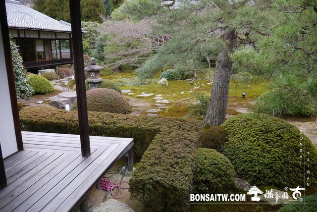 P1040058 [日本庭園]雲龍院(2)