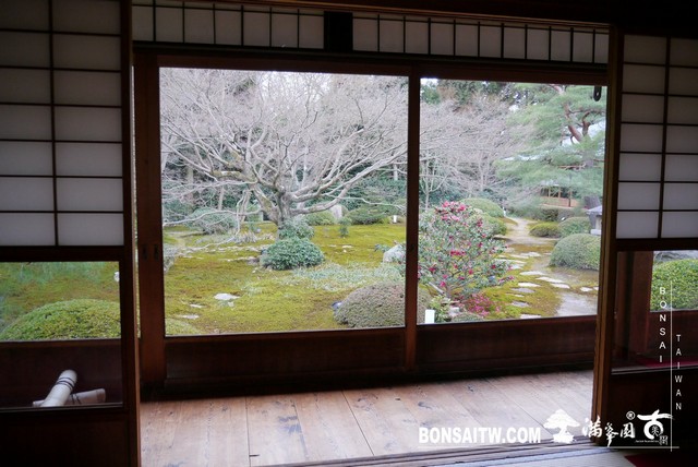 P1040073 [日本庭園]雲龍院(2)