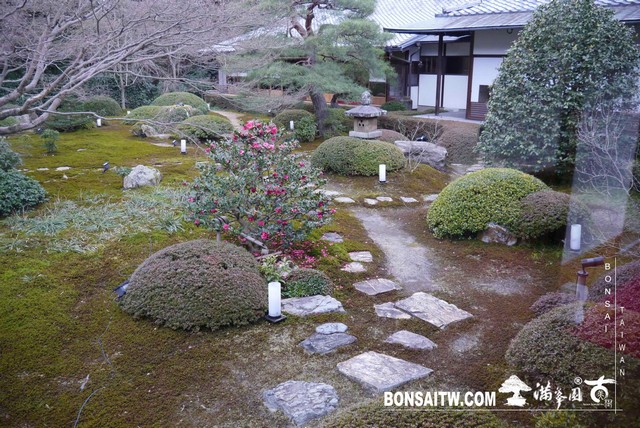 P1040078 [日本庭園]雲龍院(2)