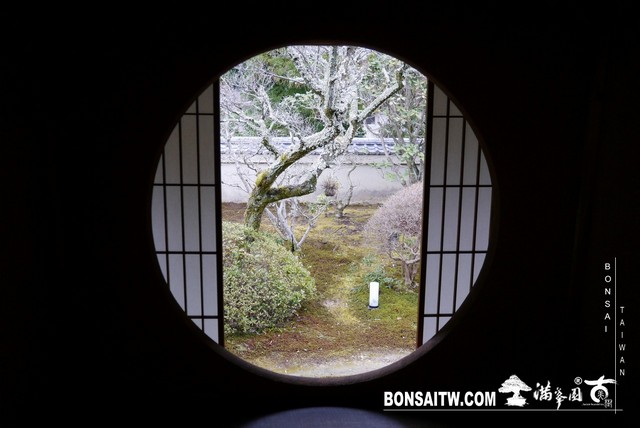 P1040092 [日本庭園]雲龍院(2)