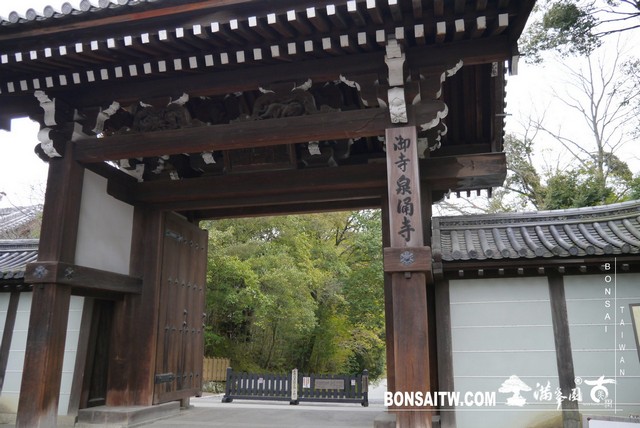 P1040101 1 [日本庭園]泉涌寺(1)