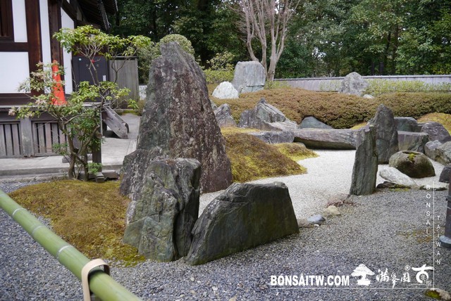 P1040113 1 [日本庭園]泉涌寺(1)
