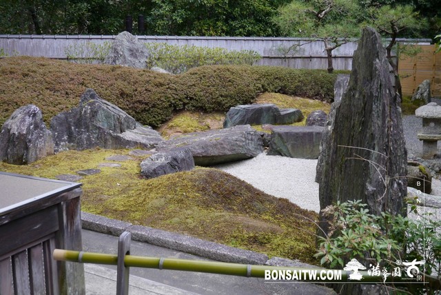P1040117 [日本庭園]泉涌寺(1)