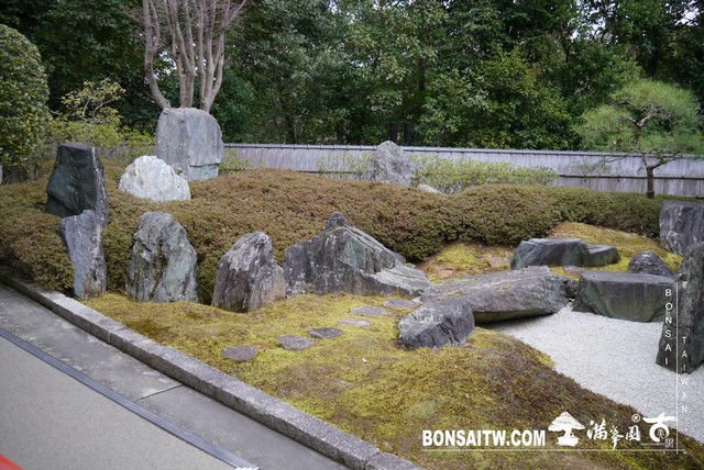 P1040121 [日本庭園]泉涌寺(1)