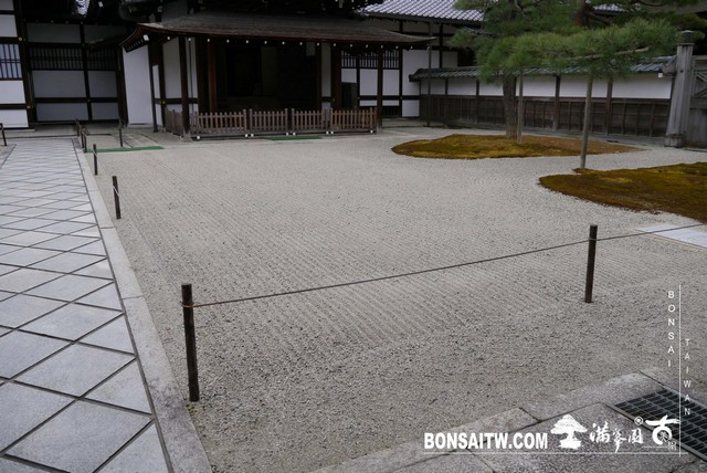 P1040145 [日本庭園]泉涌寺(1)