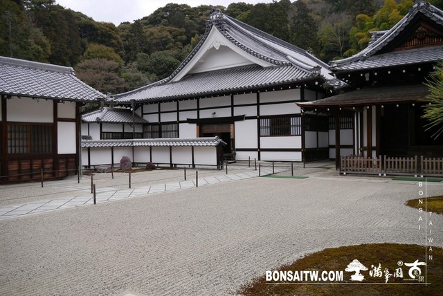 P1040147 [日本庭園]泉涌寺(1)