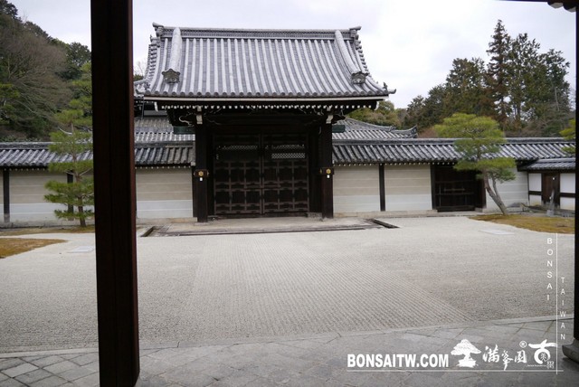 P1040156 [日本庭園]泉涌寺(1)