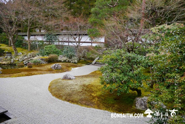 P1040164 [日本庭園]泉涌寺(2)