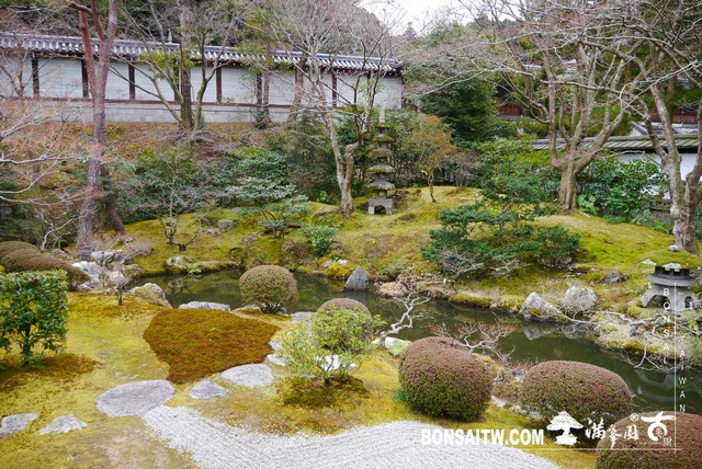 P1040175 [日本庭園]泉涌寺(2)