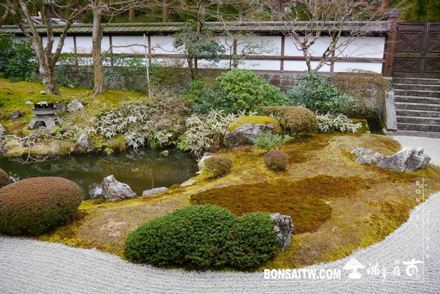 P1040178 [日本庭園]泉涌寺(2)