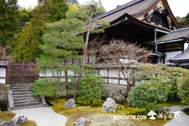 P1040179 [日本庭園]泉涌寺(2)