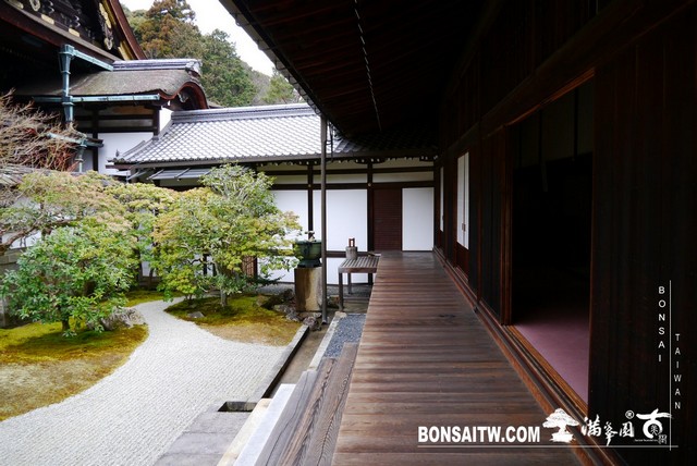 P1040181 [日本庭園]泉涌寺(2)