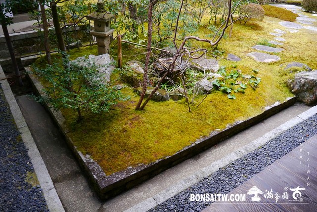 P1040187 [日本庭園]泉涌寺(2)