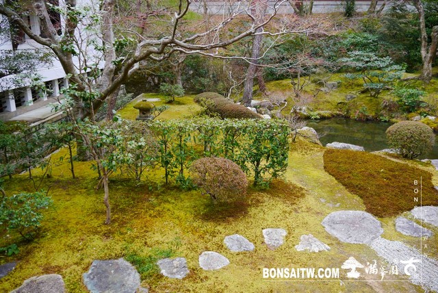 P1040194 [日本庭園]泉涌寺(2)