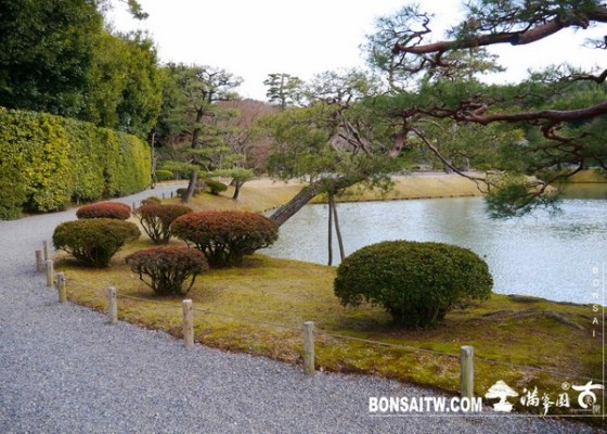 P1040286 [日本庭園]平等院 2013