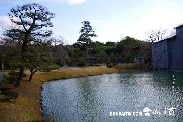 P1040288 [日本庭園]平等院