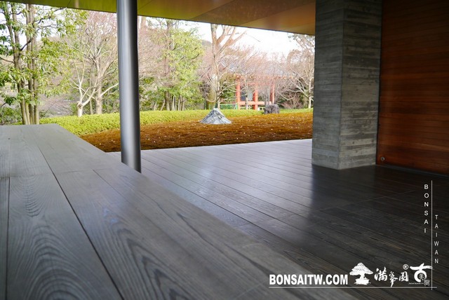 P1040321 [日本庭園]平等院