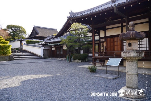 P1040336 [日本庭園]平等院