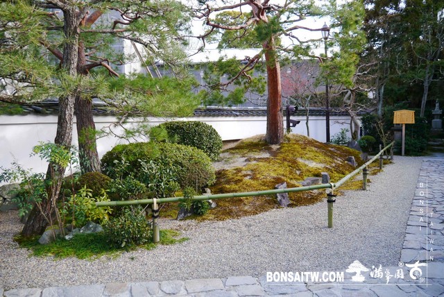 P1040355 [日本庭園]平等院