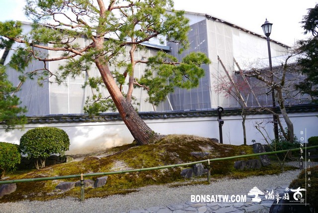 P1040358 [日本庭園]平等院
