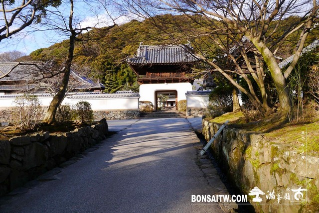 P1040439 [日本庭園]興聖寺