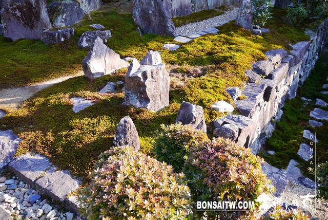 P1040443 [日本庭園]興聖寺