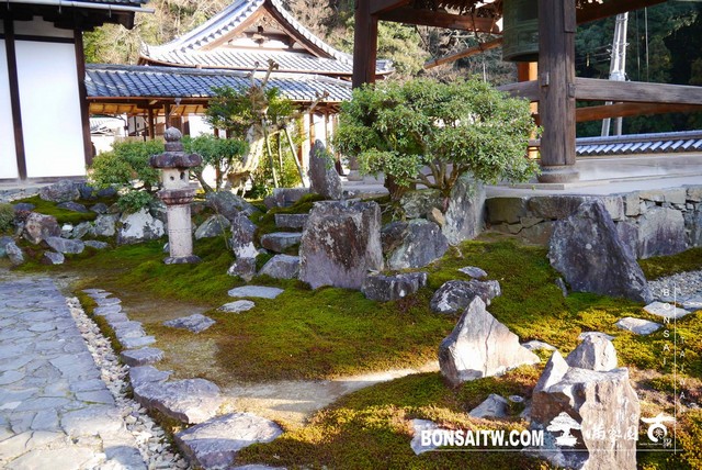P1040445 [日本庭園]興聖寺