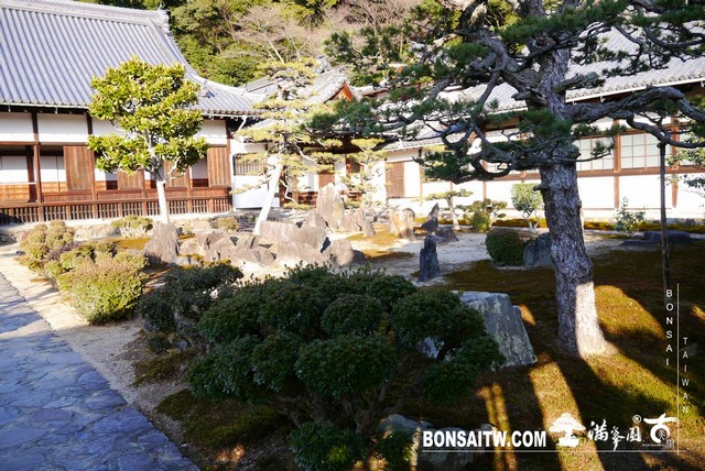 P1040448 [日本庭園]興聖寺