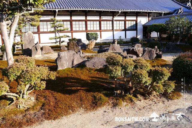 P1040453 [日本庭園]興聖寺