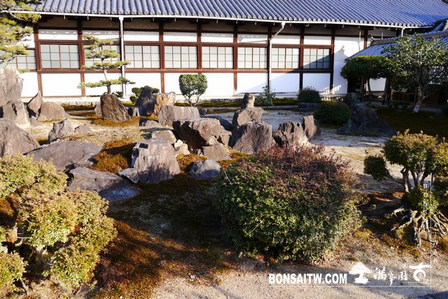 P1040456 [日本庭園]興聖寺