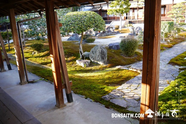 P1040468 [日本庭園]興聖寺