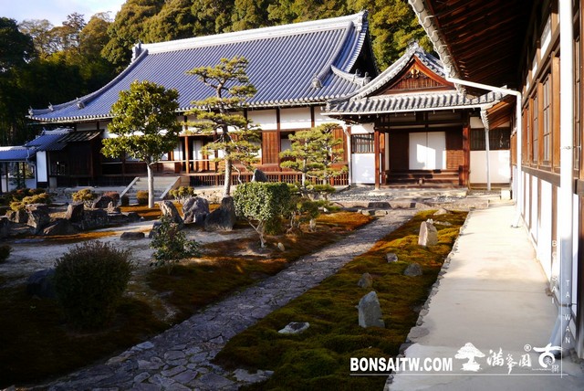 P1040470 [日本庭園]興聖寺