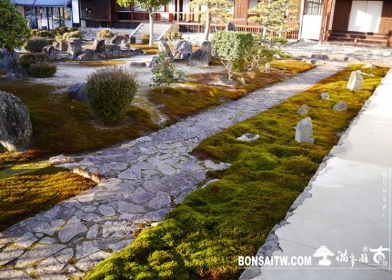 P1040473 [日本庭園]興聖寺 2013