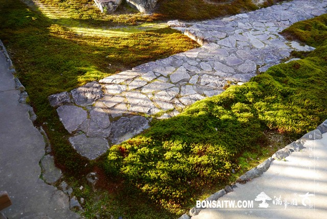 P1040474 [日本庭園]興聖寺
